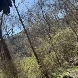 Piasa Bird Mural and Legend - Alton