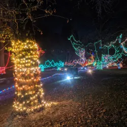 Rock Spring Nature Center - Alton