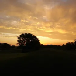 Arlington Lakes Golf Club - Arlington Heights