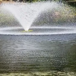 Arlington Lakes Golf Club - Arlington Heights