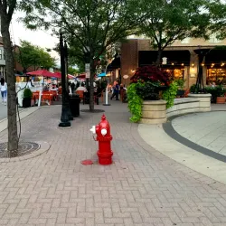 Downtown Arlington Heights - Arlington Heights