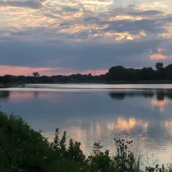 Lake Arlington - Arlington Heights