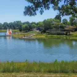 Lake Arlington - Arlington Heights