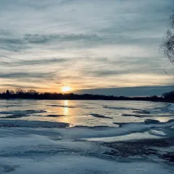 Lake Arlington - Arlington Heights