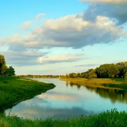 Lake Arlington - Arlington Heights