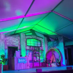 Metropolis Performing Arts Centre - Arlington Heights