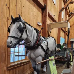 Wagner Farm - Arlington Heights