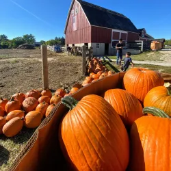 Wagner Farm - Arlington Heights