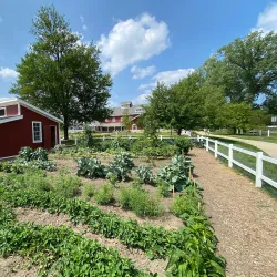 Wagner Farm - Arlington Heights