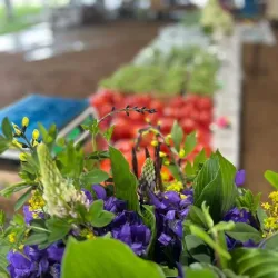 Athens Farmers Market - Athens