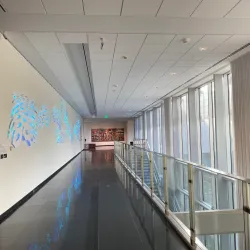 Georgia Museum of Art - Athens