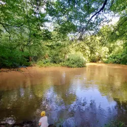 Oconee River Greenway - Athens