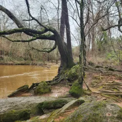 Oconee River Greenway - Athens