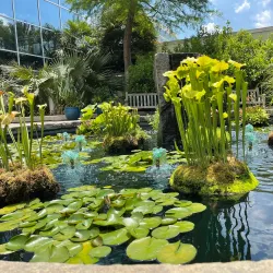 State Botanical Garden of Georgia - Athens