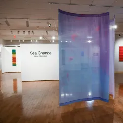 Lynn E. Stach Museum of Aurora University - Aurora