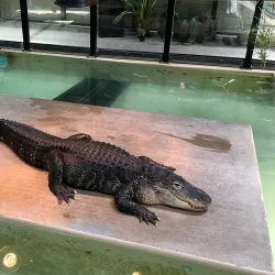 Phillips Park Zoo - Aurora