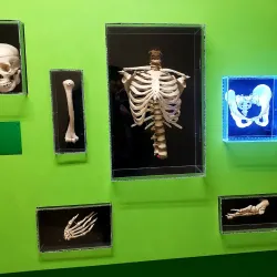 SciTech Hands On Museum - Aurora