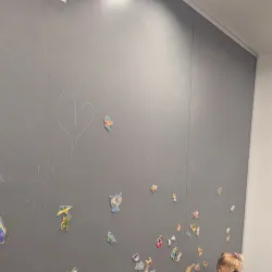 Barrington Area Library - Barrington