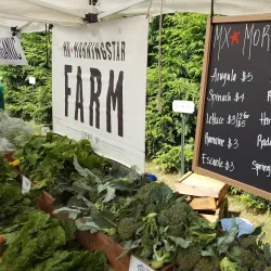 Barrington Farmers Market - Barrington