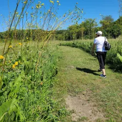 Cook County Forest Preserves - Crabtree Nature Center - Barrington