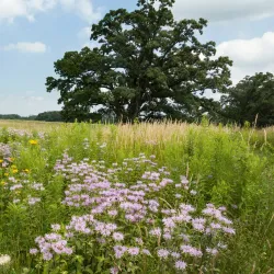 Prairieview Education Center - Barrington