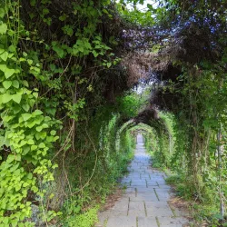 Fabyan Forest Preserve - Batavia