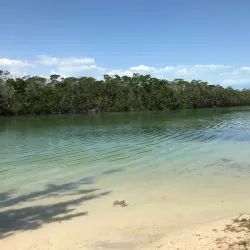 Beach Park Public Library - Beach park