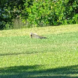 Beach Park Public Library - Beach park