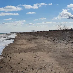Illinois Beach State Park - Beach park