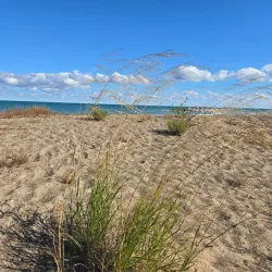 Illinois Beach State Park - Beach park