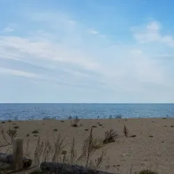 Illinois Beach State Park - Beach park