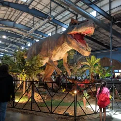 Lake County Fairgrounds - Beach park