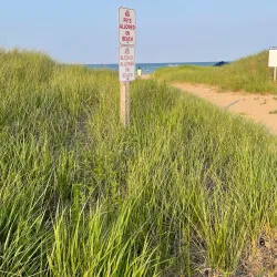 North Point Marina - Beach park
