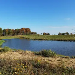 Pine Dunes Forest Preserve - Beach park