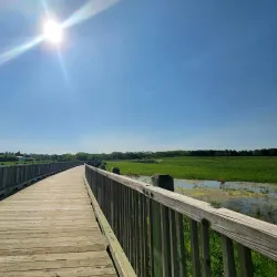 Pine Dunes Forest Preserve - Beach park