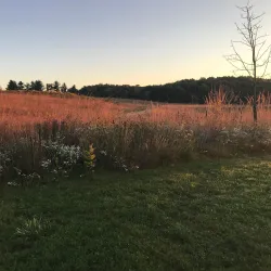 Pine Dunes Forest Preserve - Beach park