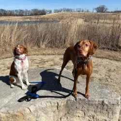 Pine Dunes Forest Preserve - Beach park