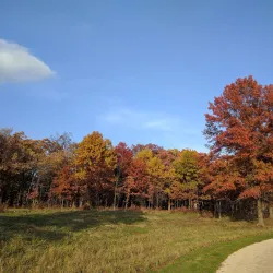 Pine Dunes Forest Preserve - Beach park