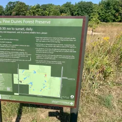 Pine Dunes Forest Preserve - Beach park