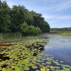 Turner Lake Forest Preserve - Beach park