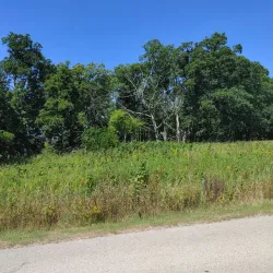 Turner Lake Forest Preserve - Beach park