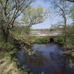 Turner Lake Forest Preserve - Beach park