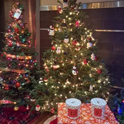 Belvidere Community Center - Belvidere