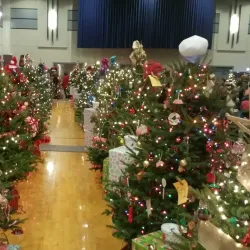 Belvidere Community Center - Belvidere