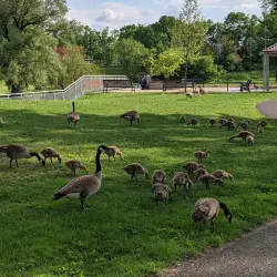 Belvidere Park District - Belvidere