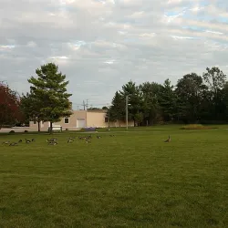 Belvidere Skate Park - Belvidere