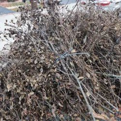 Rock River - Belvidere