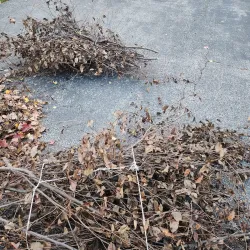 Rock River - Belvidere