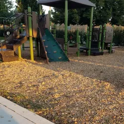 Berwyn Community Garden - Berwyn