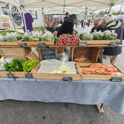 Berwyn Farmers Market - Berwyn